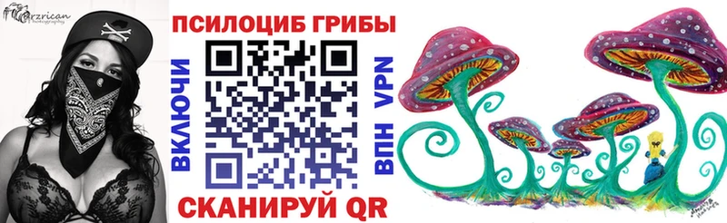 Купить где  Красновишерск  Галлюциногенные грибы Psilocybine cubensis 